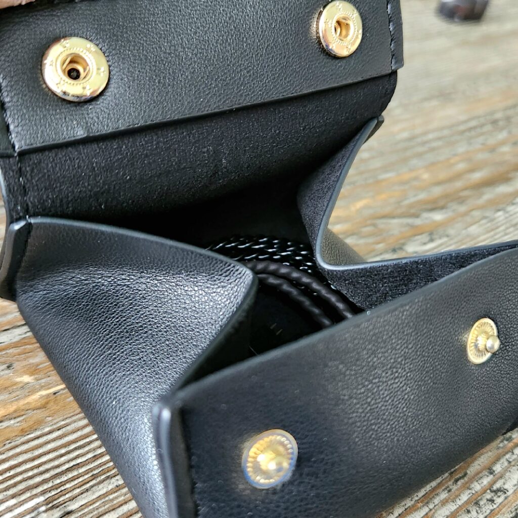 Truthear Hexa included case