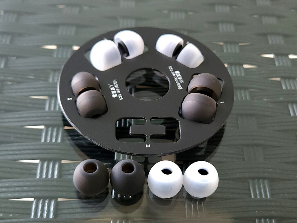 DZ4 Eartips