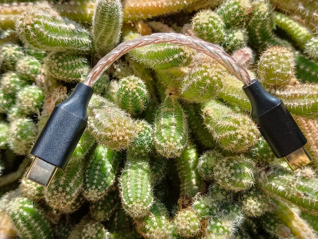 Cable on cactus