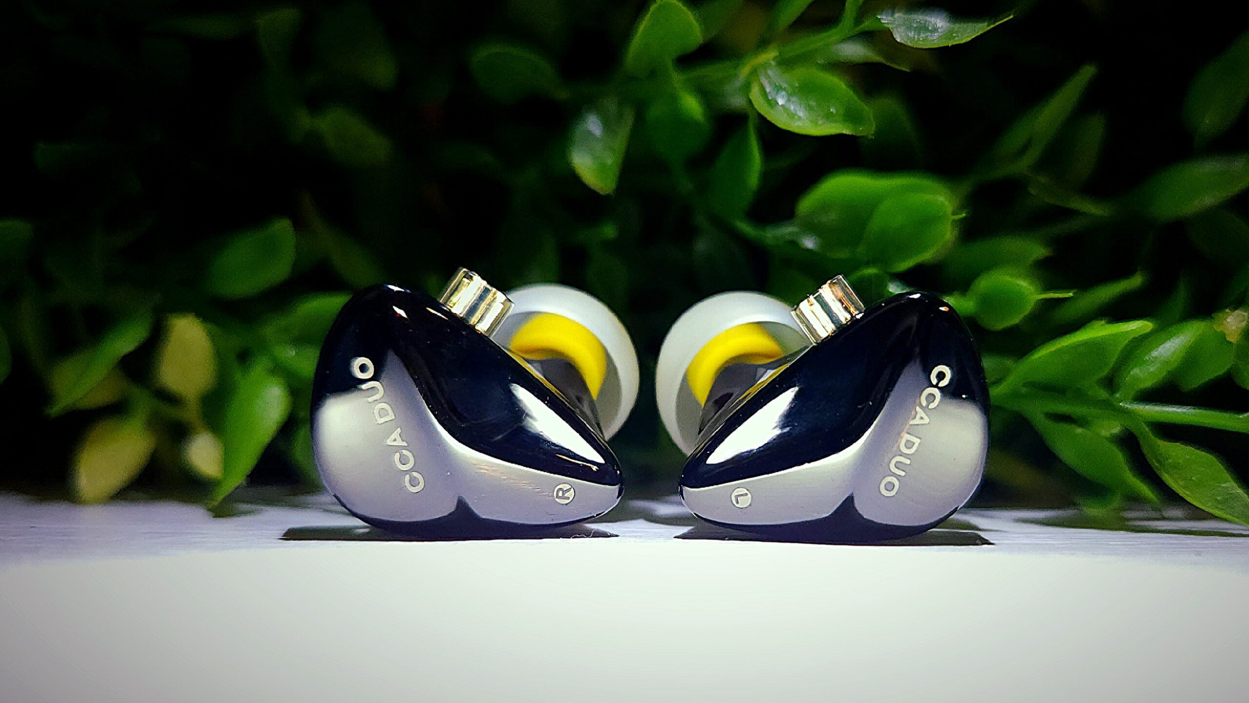 Duo