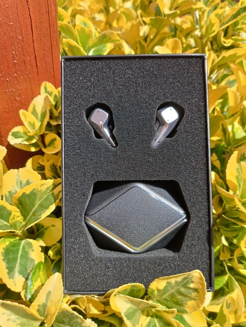 Hifiman Svanar Wireless unboxing