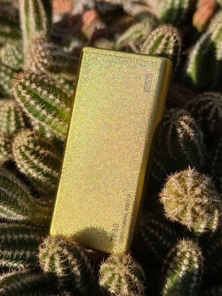 TP30 on cactus