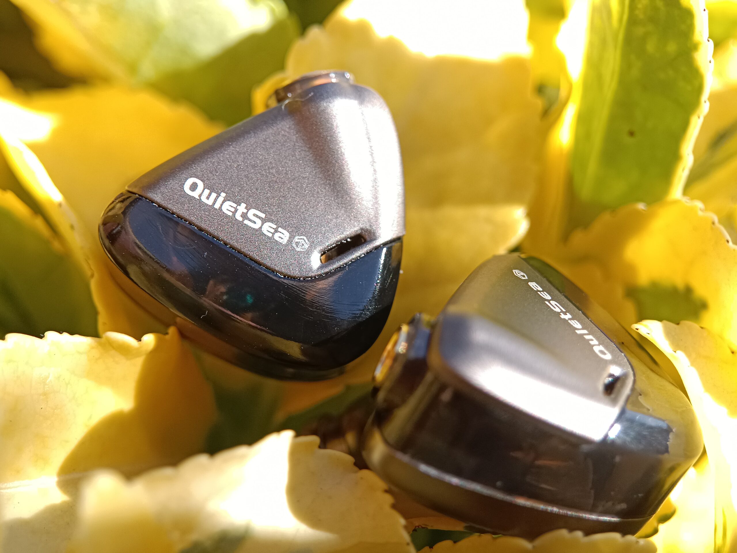 Rose Technics QuieSea