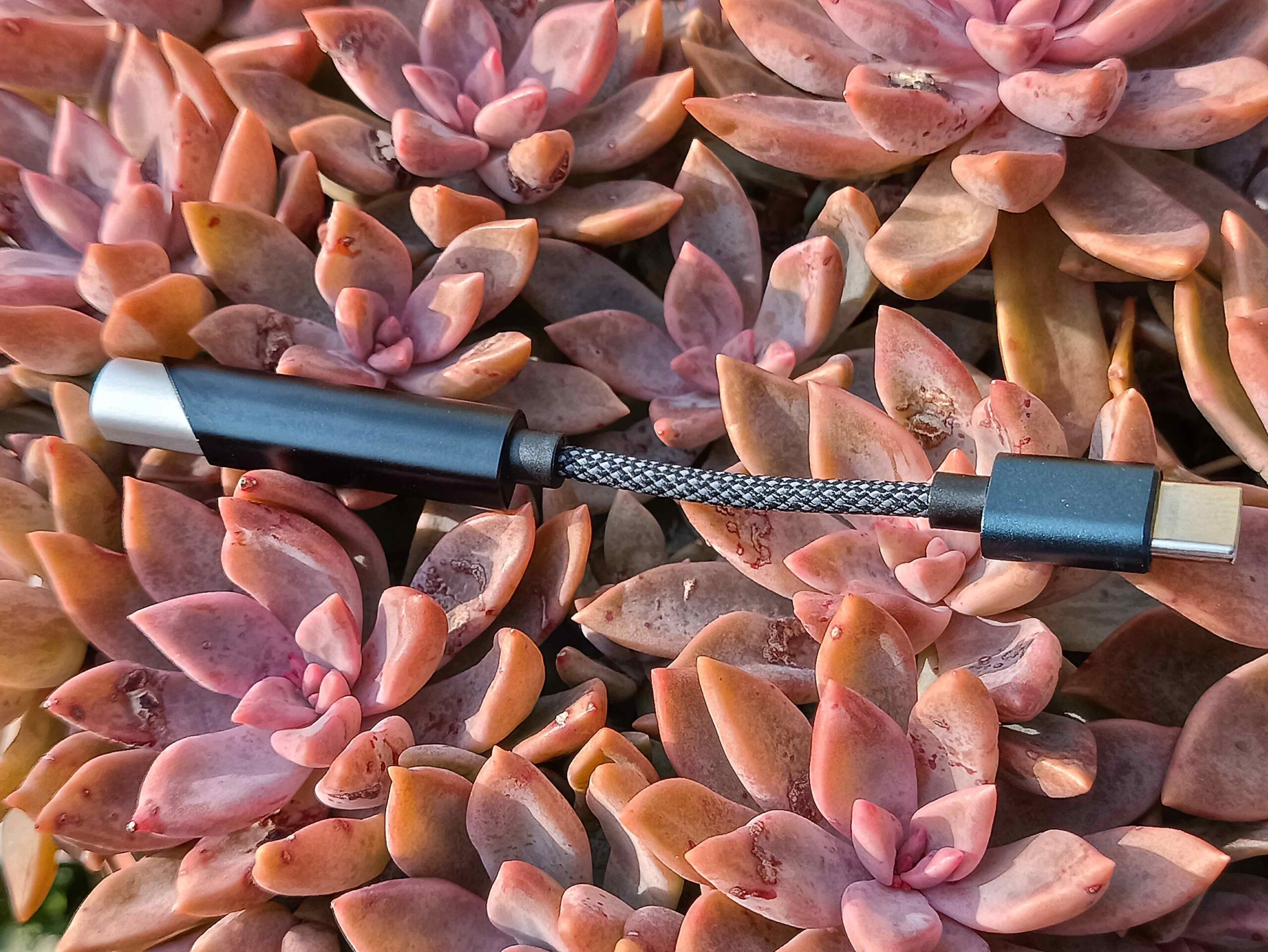 Ka11 Fiio review