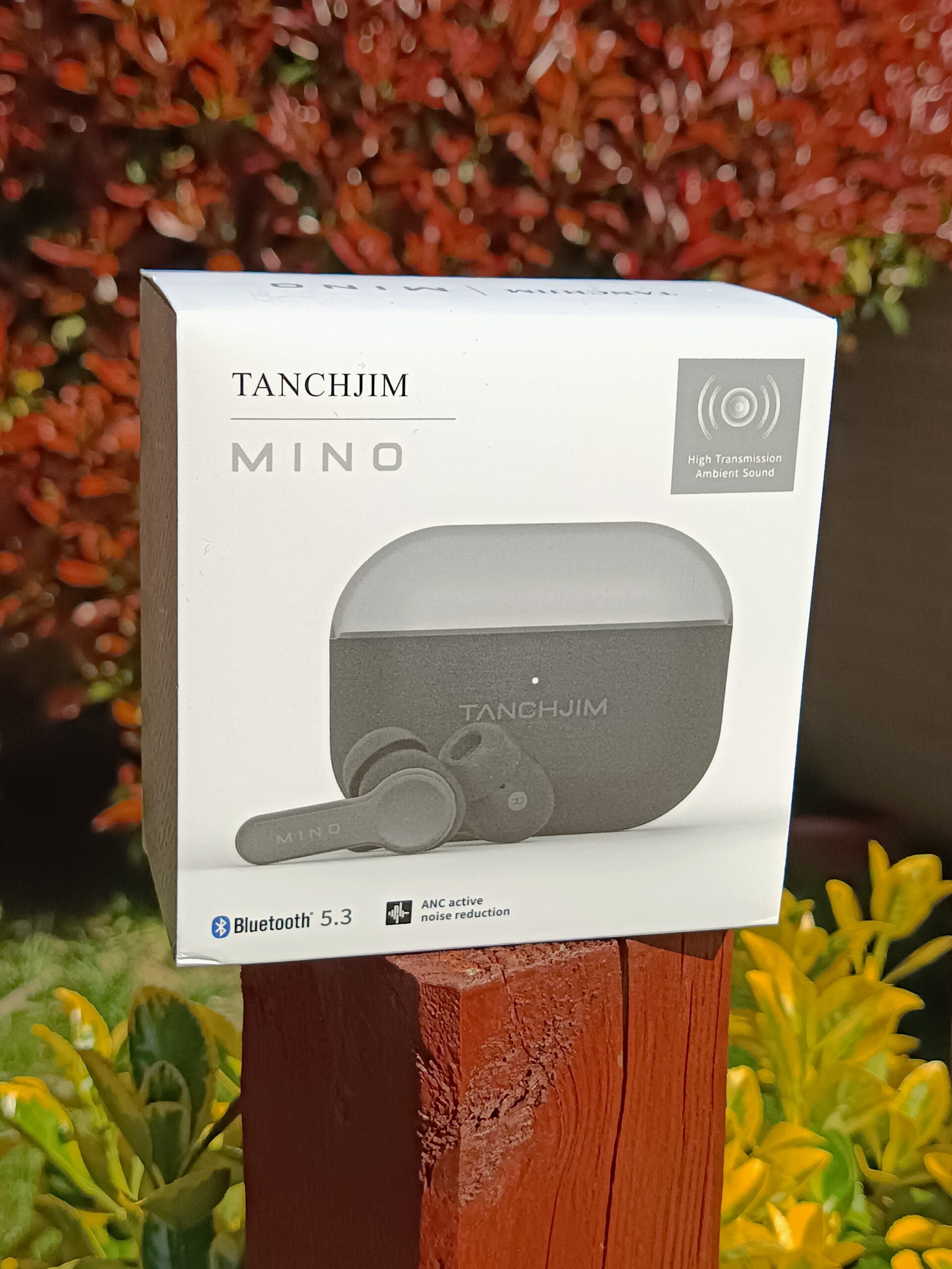 Tanchjim Mino