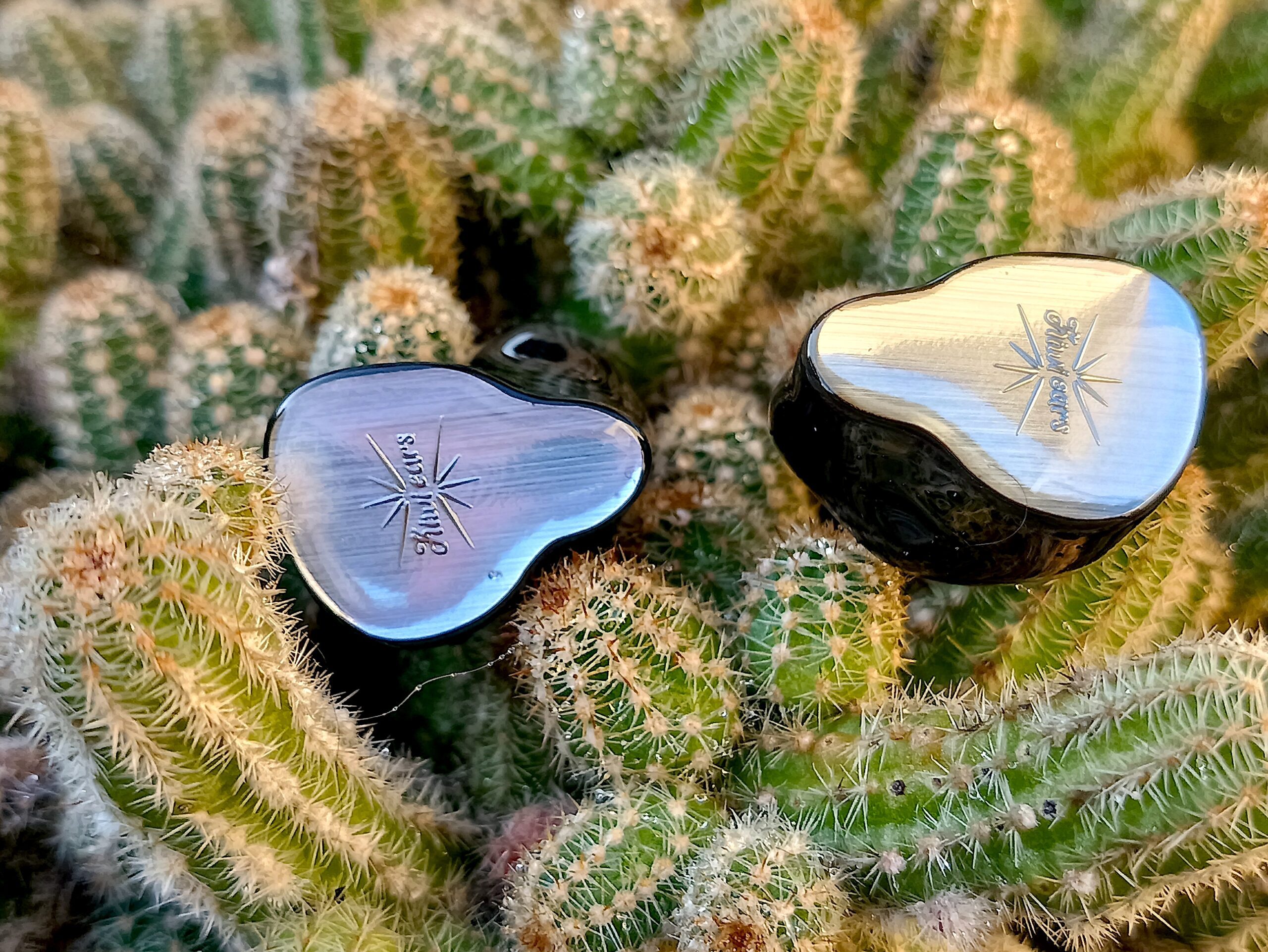 KE4 on cactus