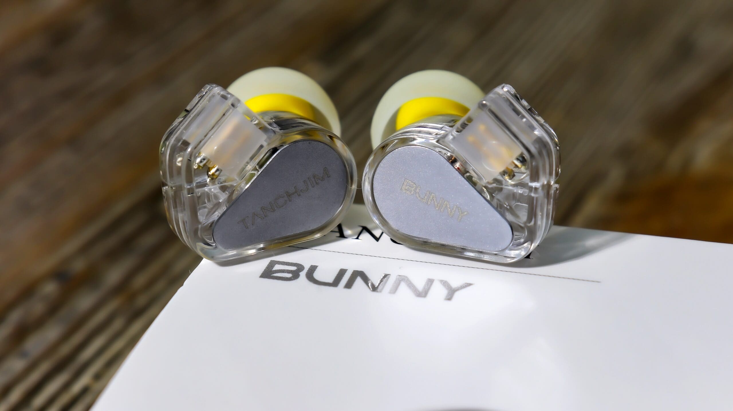 Bunny Featured Image
