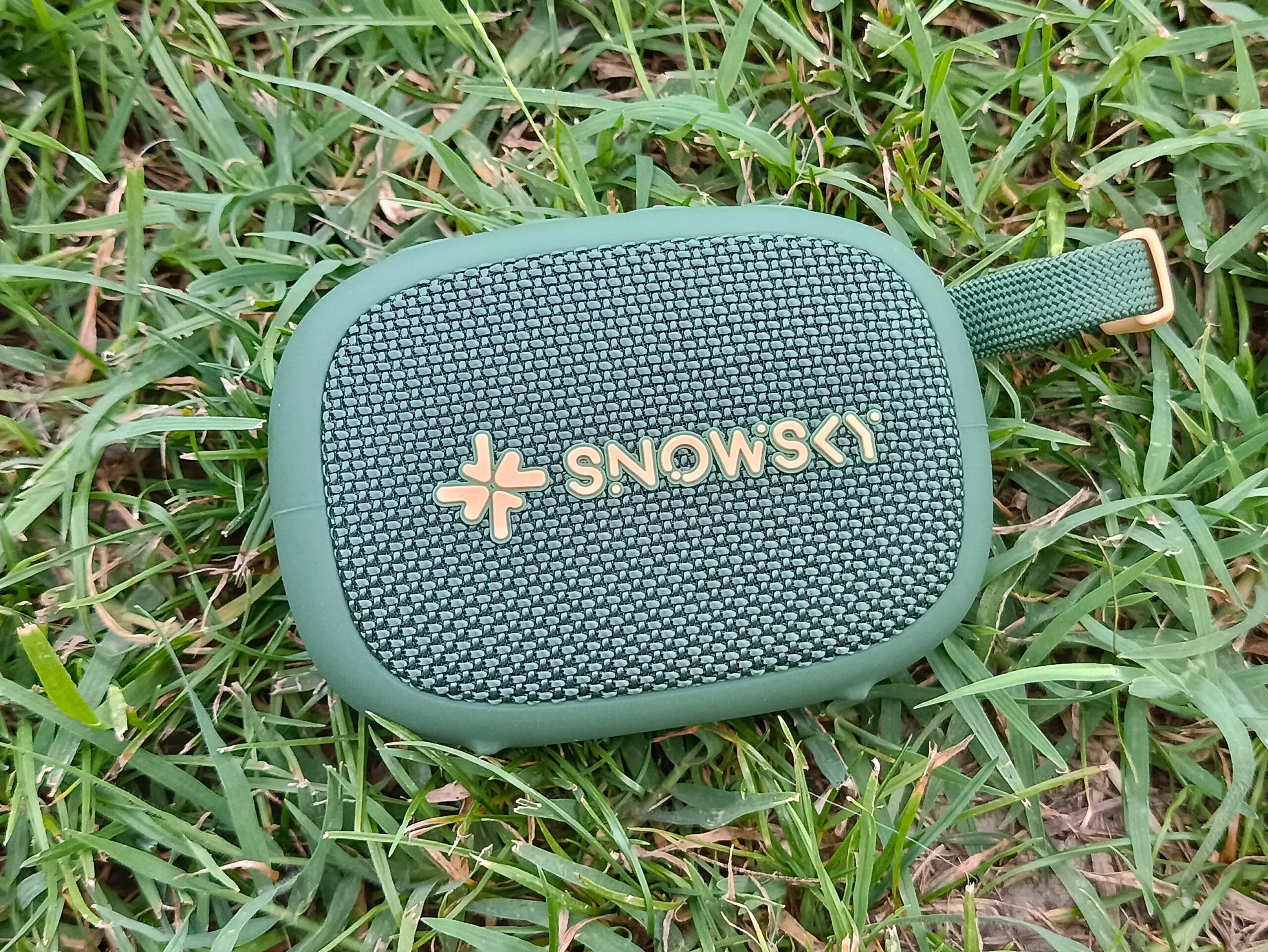 Snowsky Anywhere on grass
