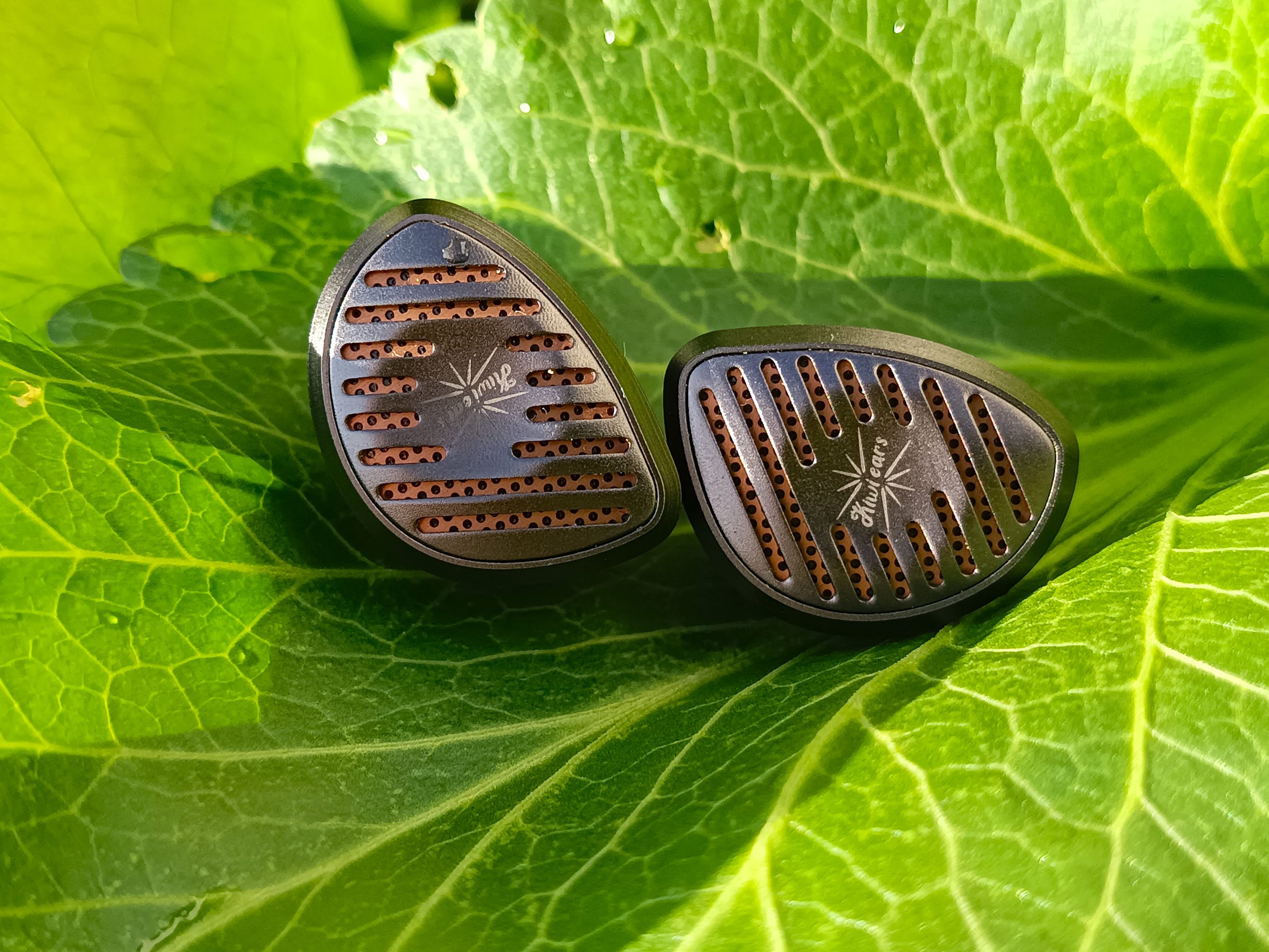 Kiwi Ears Septet