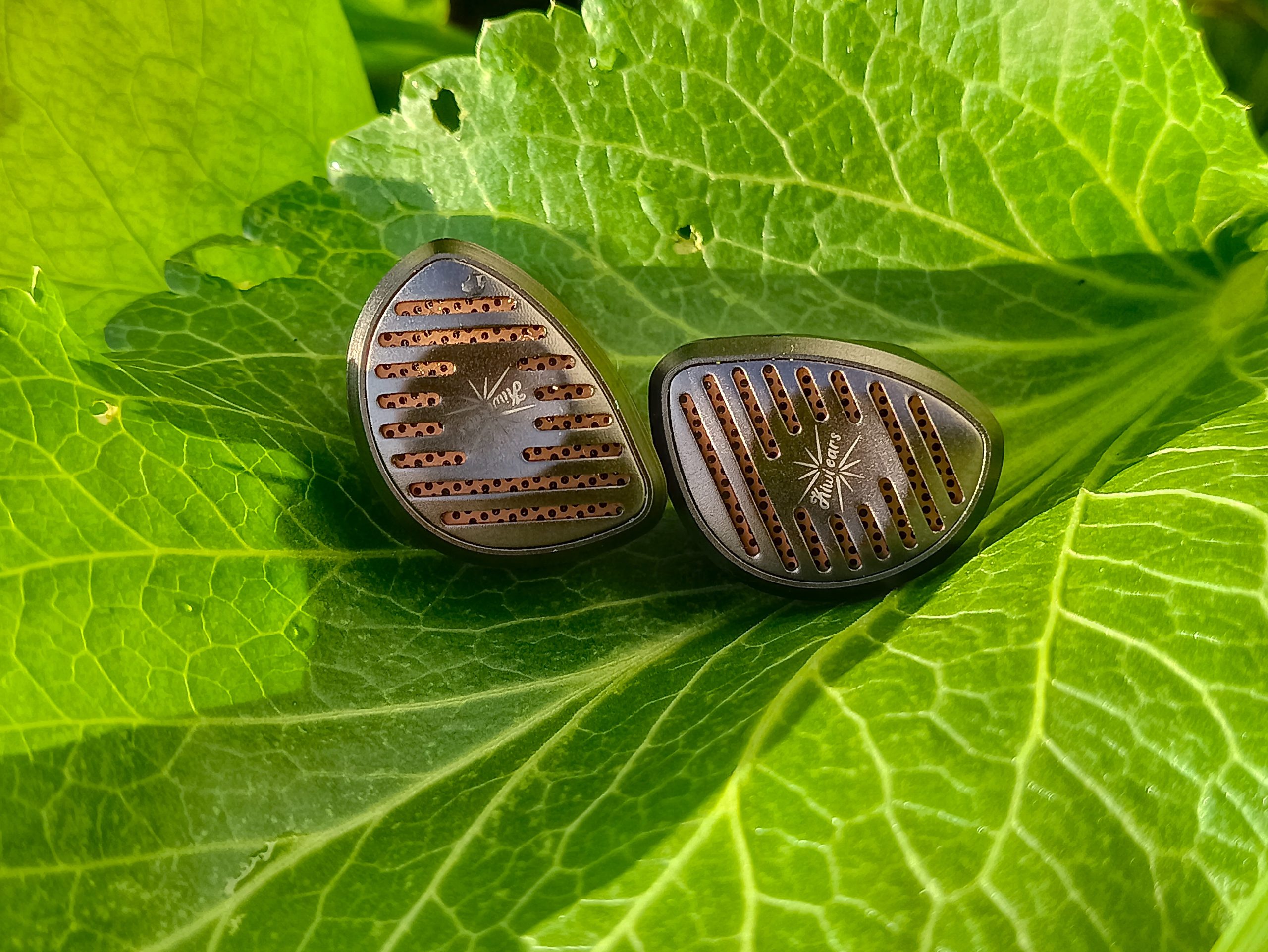 Kiwi Ears Septet IEM