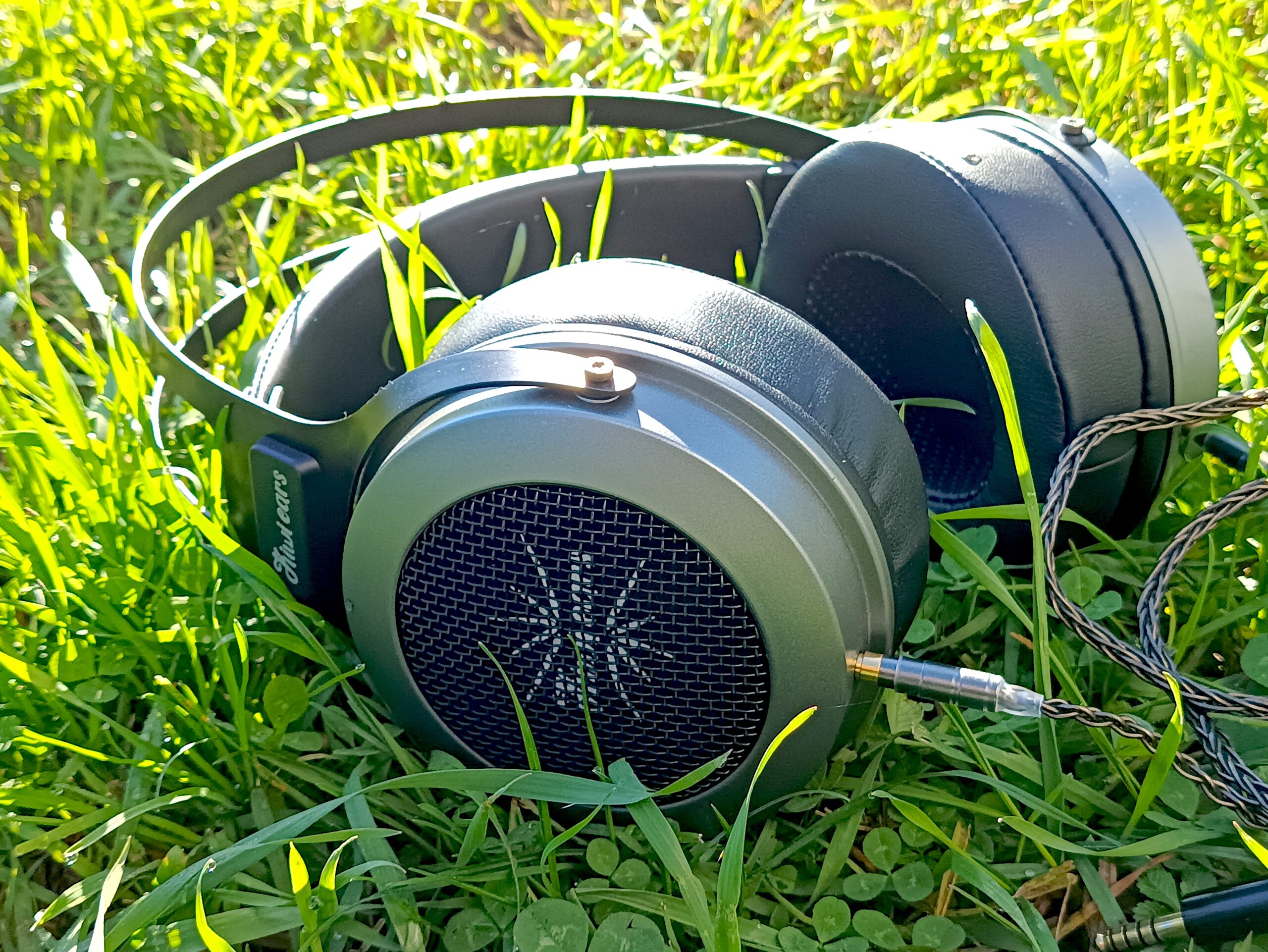 Kiwi Ears Altruva Conclusion