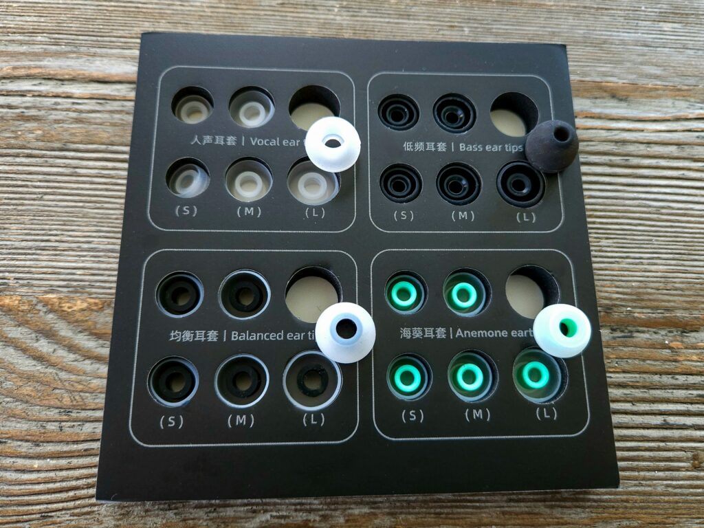 Hidizs MP145 PRO eartips