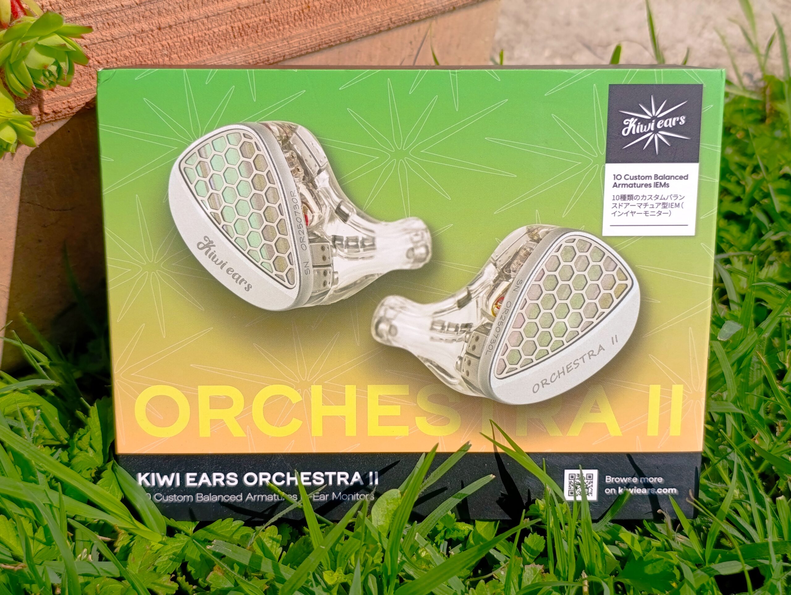 Kiwi Orchestra II Box